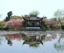 kaiyun sports-关于江南黑豹队对阵东海鲸鲨队，排球联赛失利，内线统治篮板——教练团队居功至伟的信息